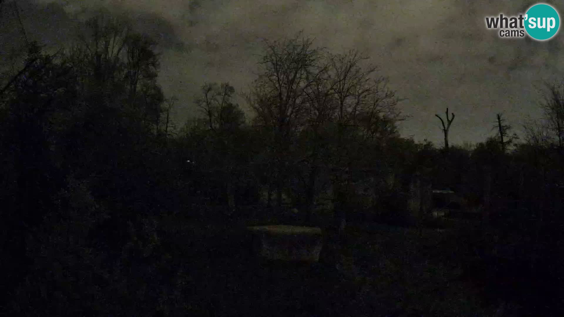 Zoo Zagreb – Leones