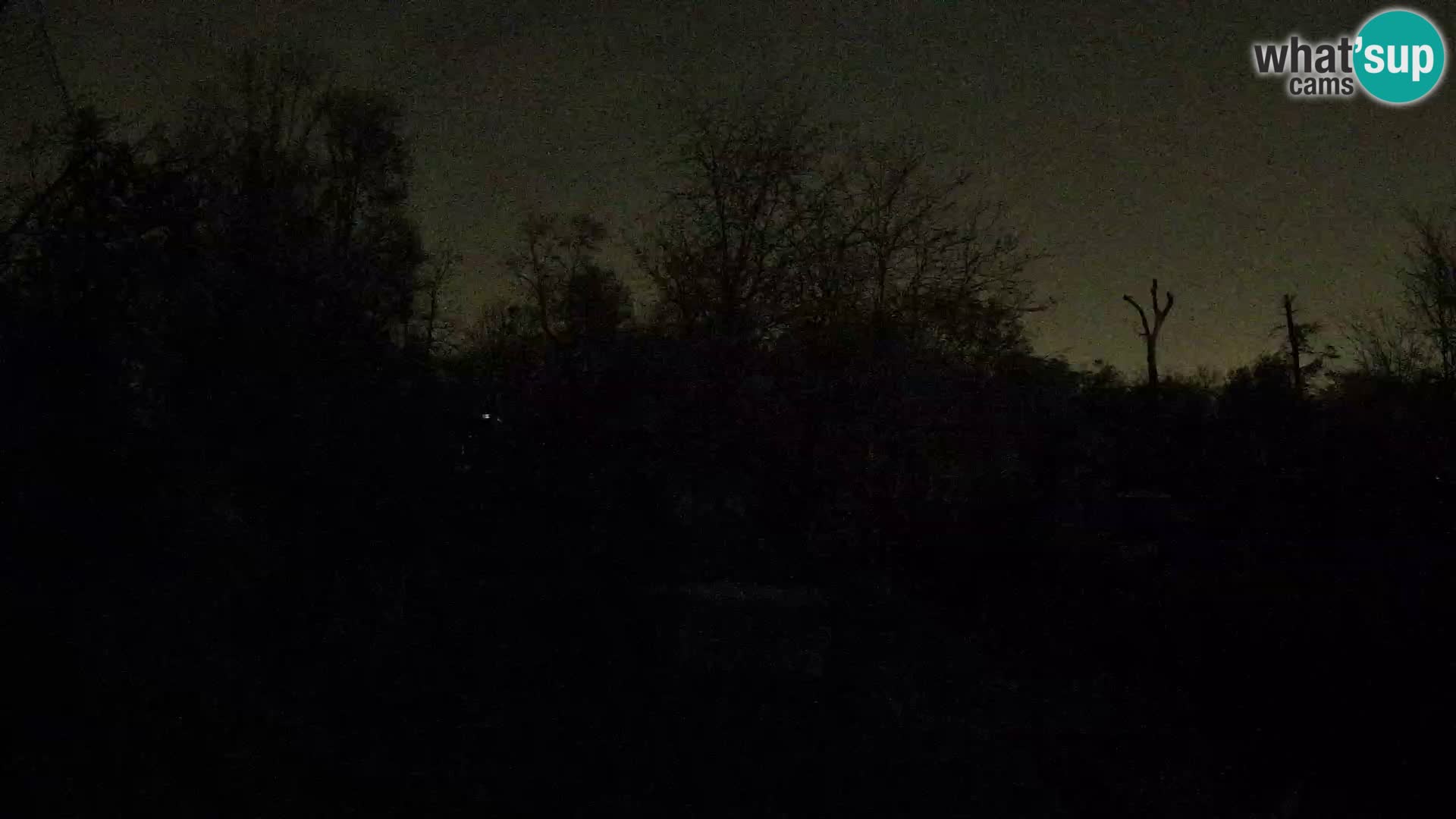 Zoo Zagreb – Löwen