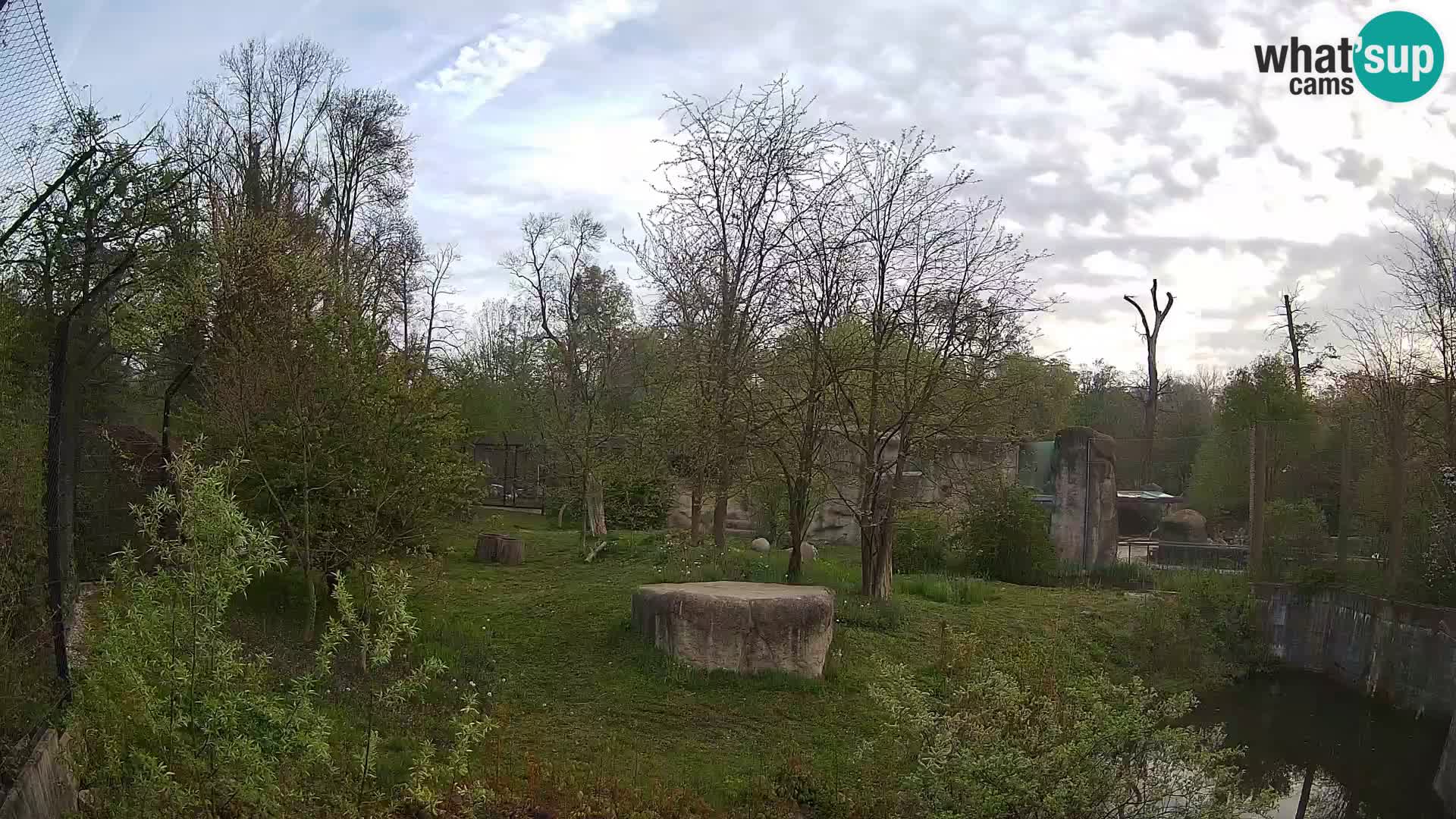 Zoo Zagreb – Lavovi