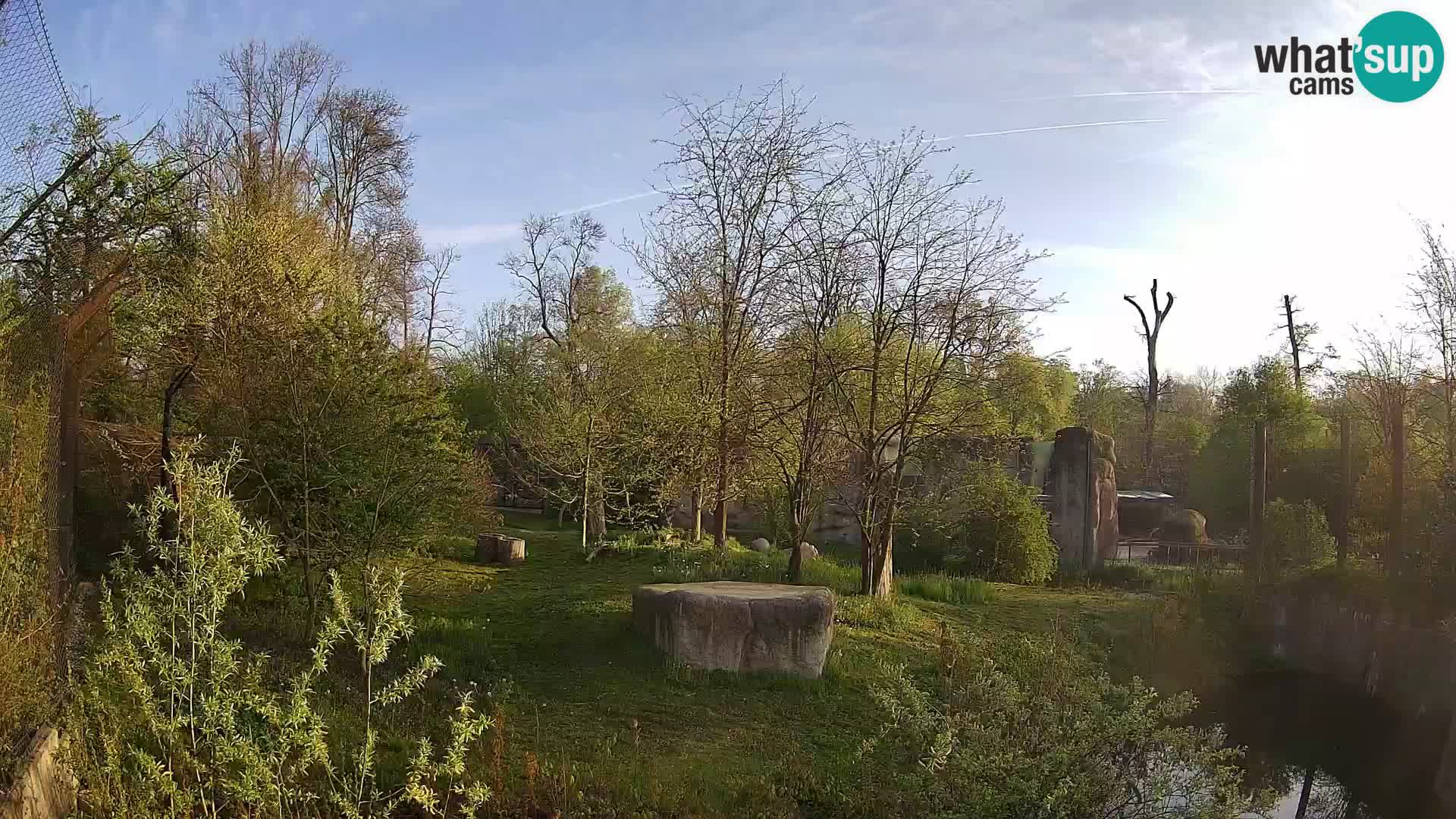 Spletna kamera Zoo Zagreb – Levi