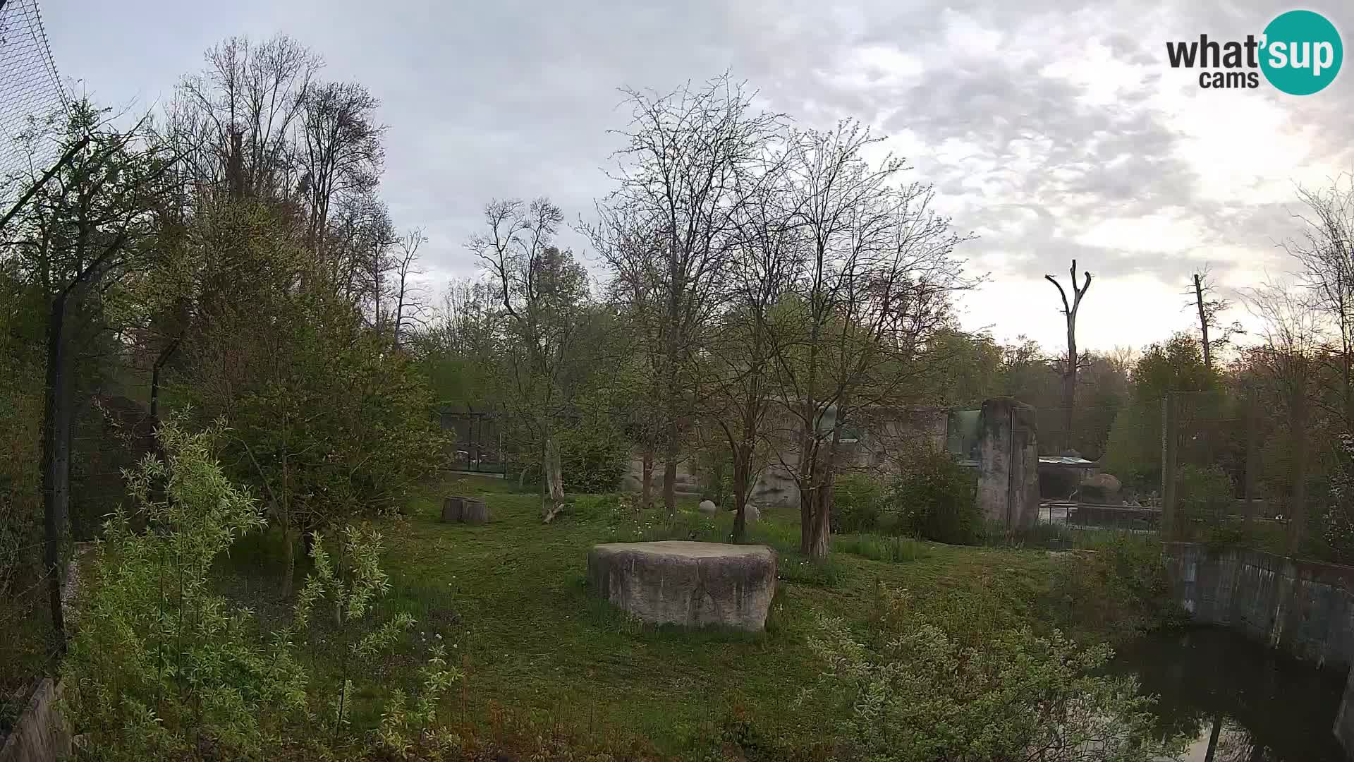 Zoo Zagreb – Lavovi