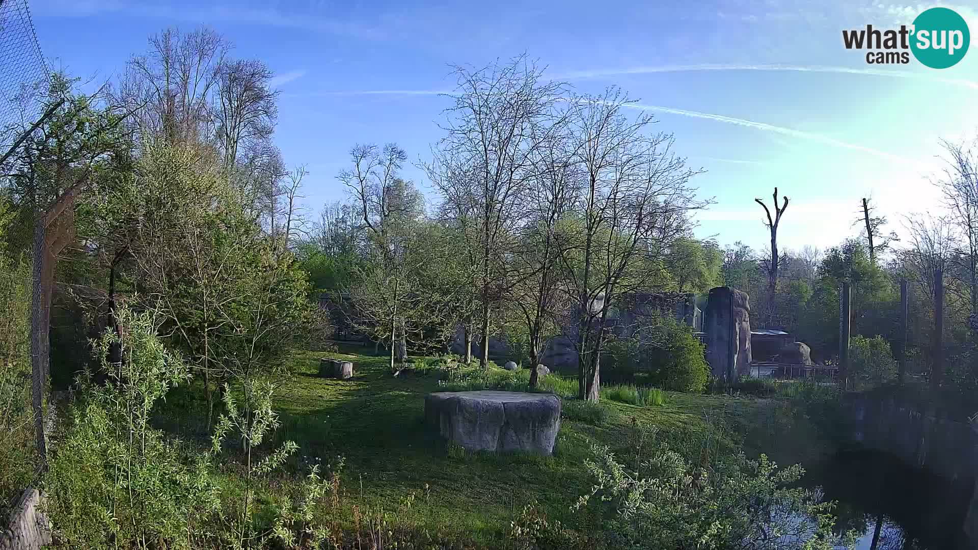 Zoo Zagreb – Leoni