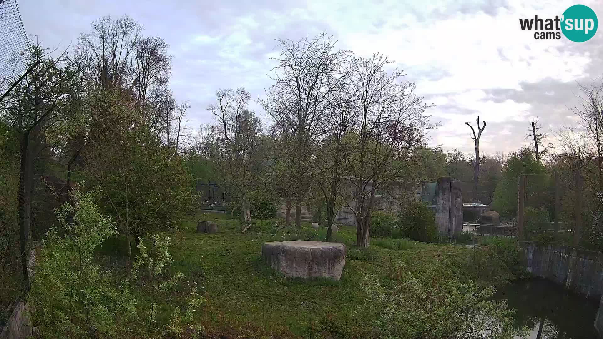 Spletna kamera Zoo Zagreb – Levi