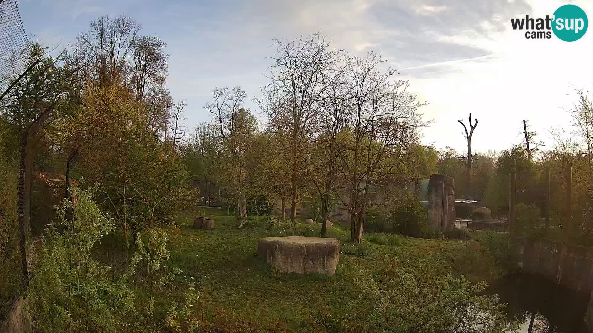 Zoo Zagreb – Leones