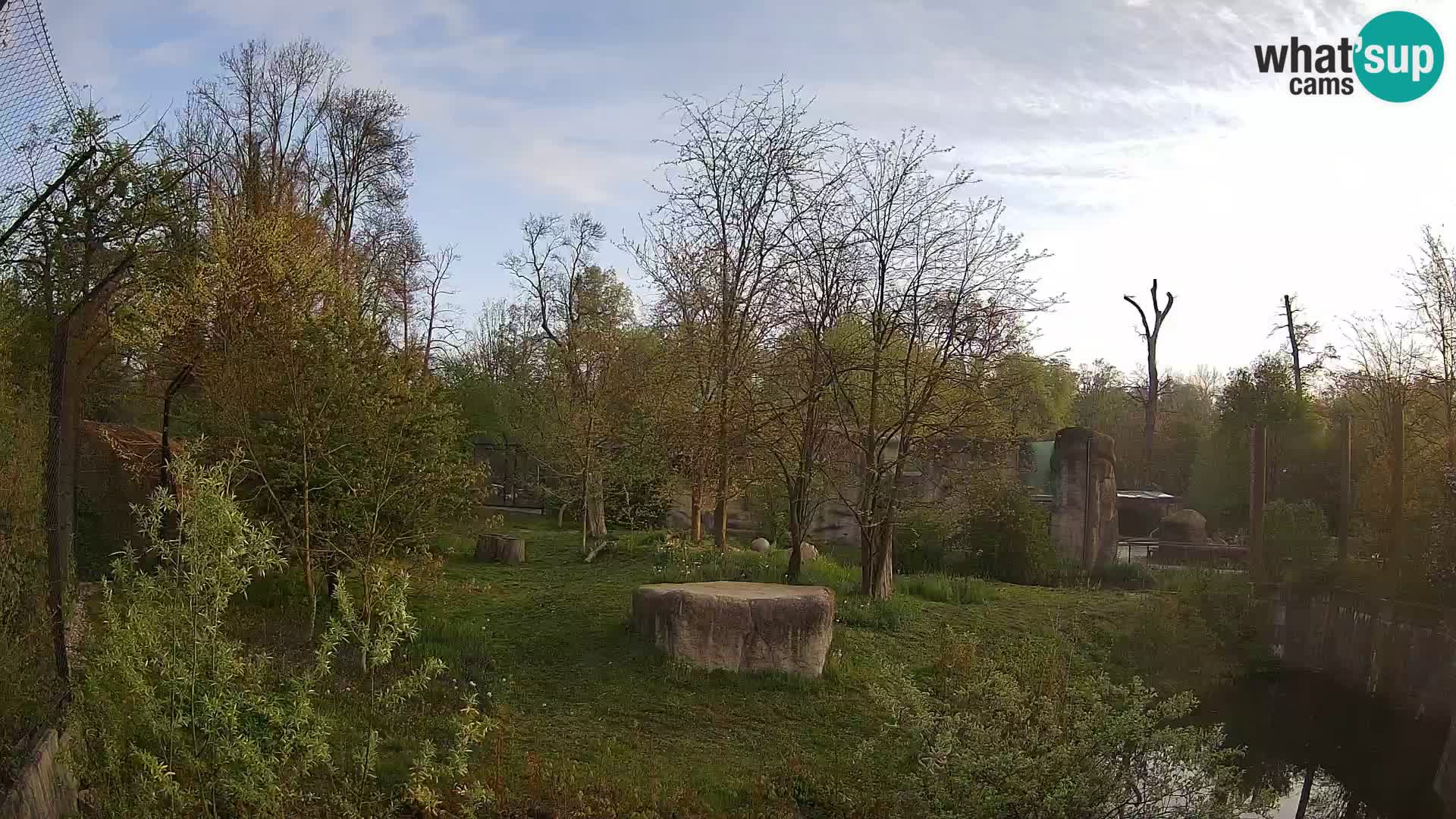 Zoo Zagreb – Leoni