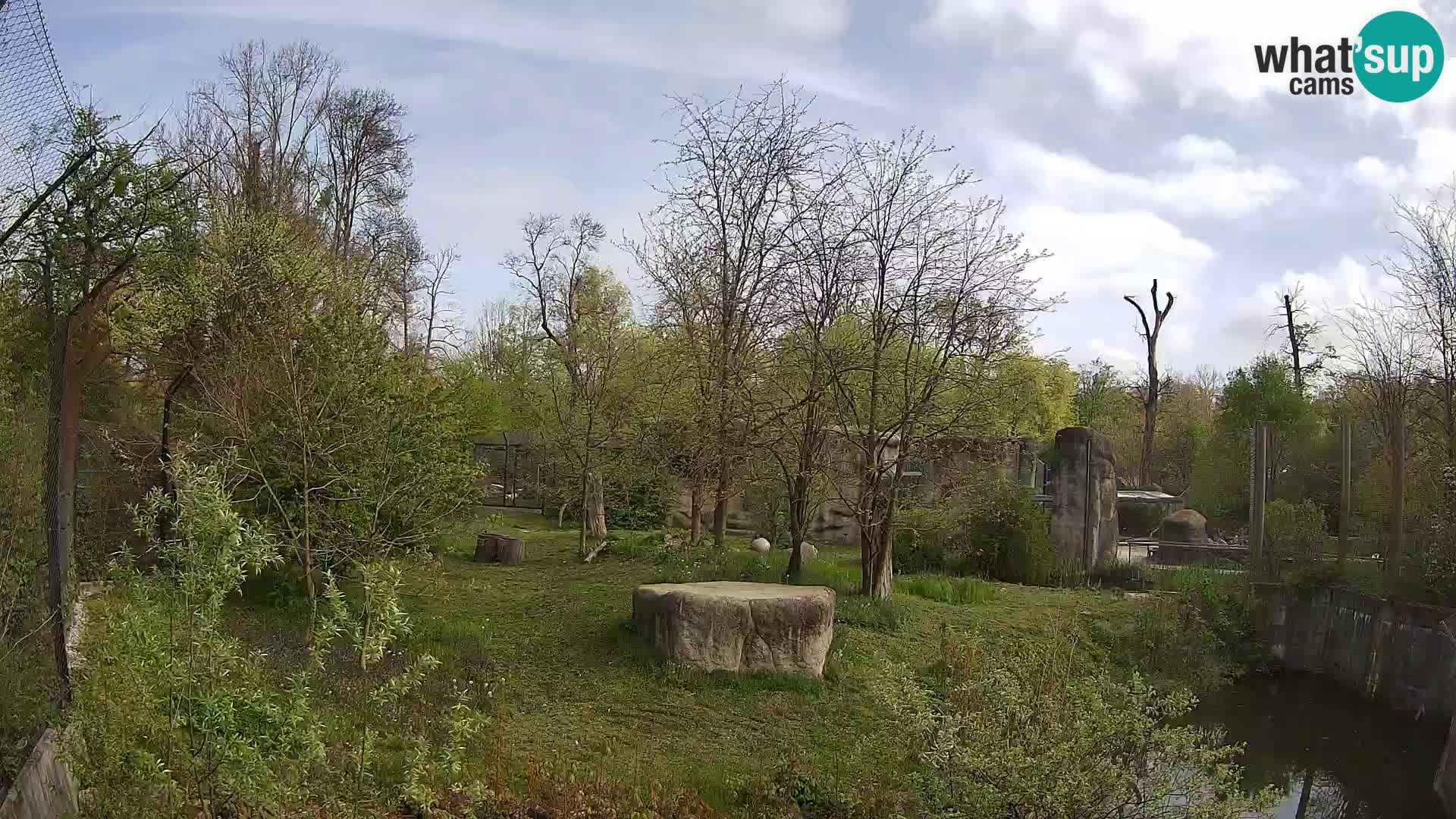 Zoo Zagreb – Leoni