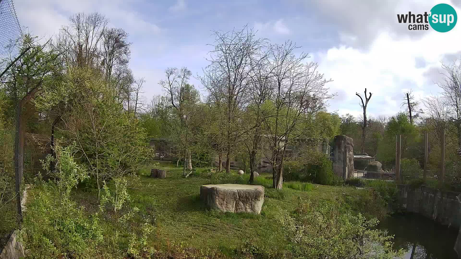 Zoo Zagreb – Leones