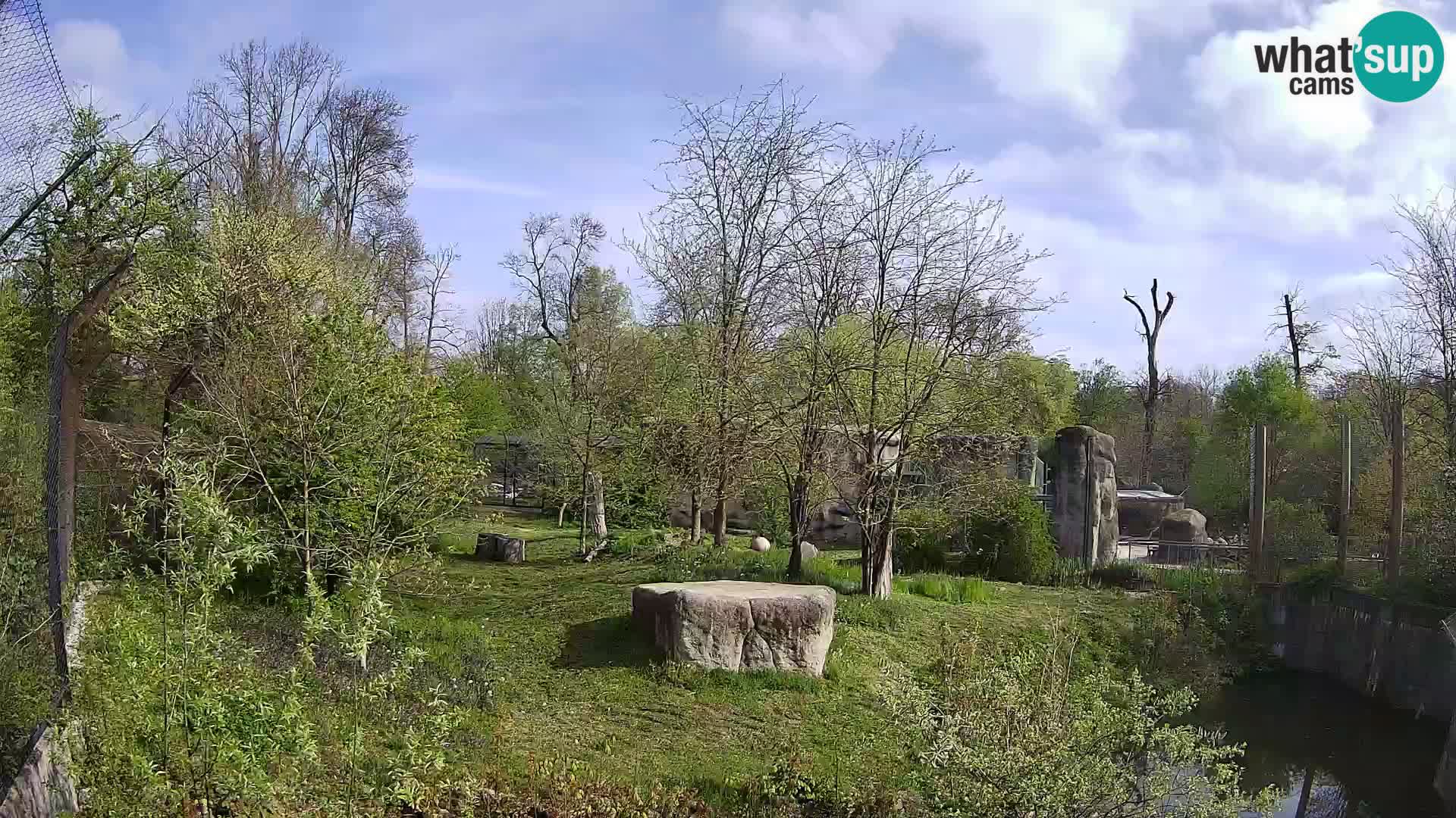 Zoo Zagreb – Lavovi