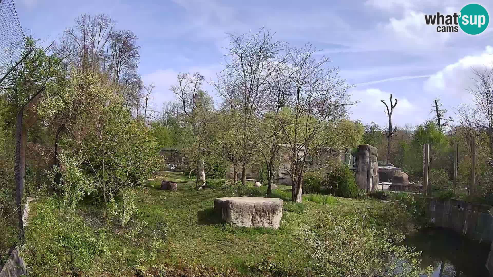 Zoo Zagreb – Leoni