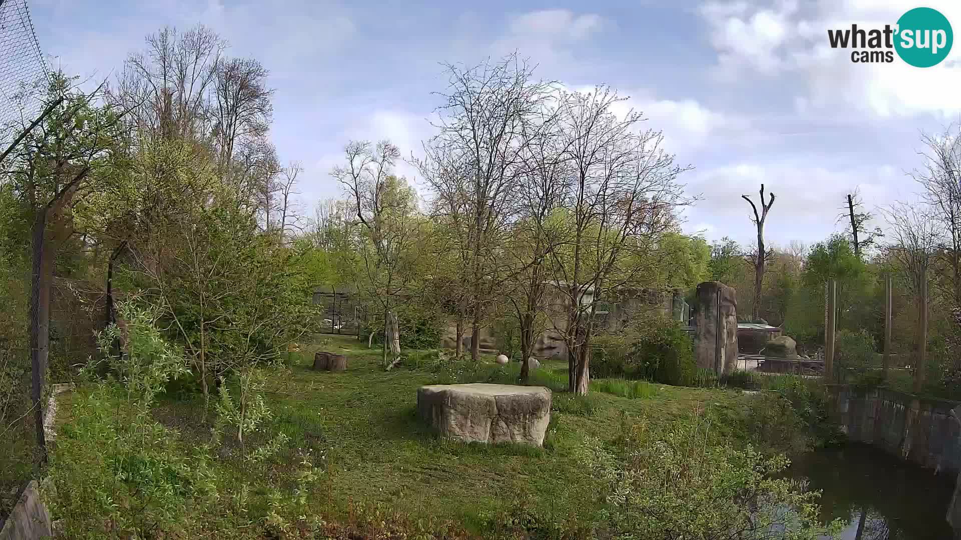 Spletna kamera Zoo Zagreb – Levi