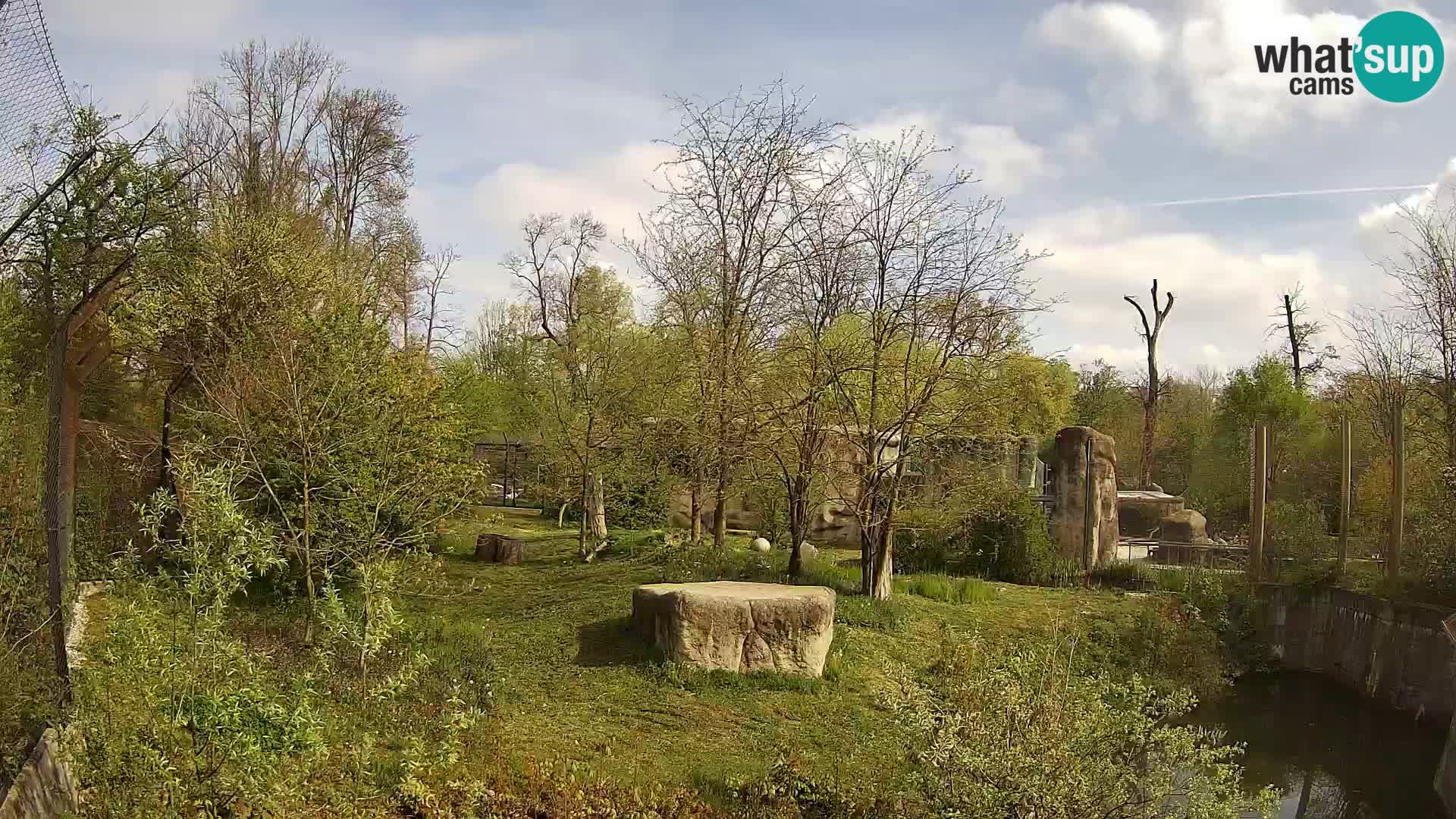 Zoo Zagreb – Lavovi