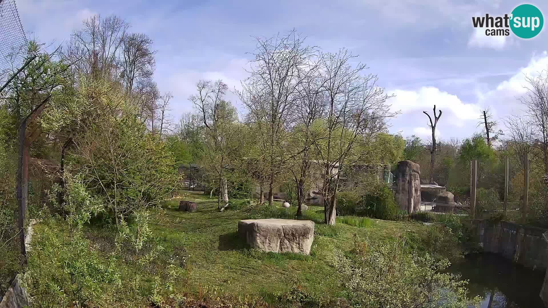 Zoo Zagreb – Leones