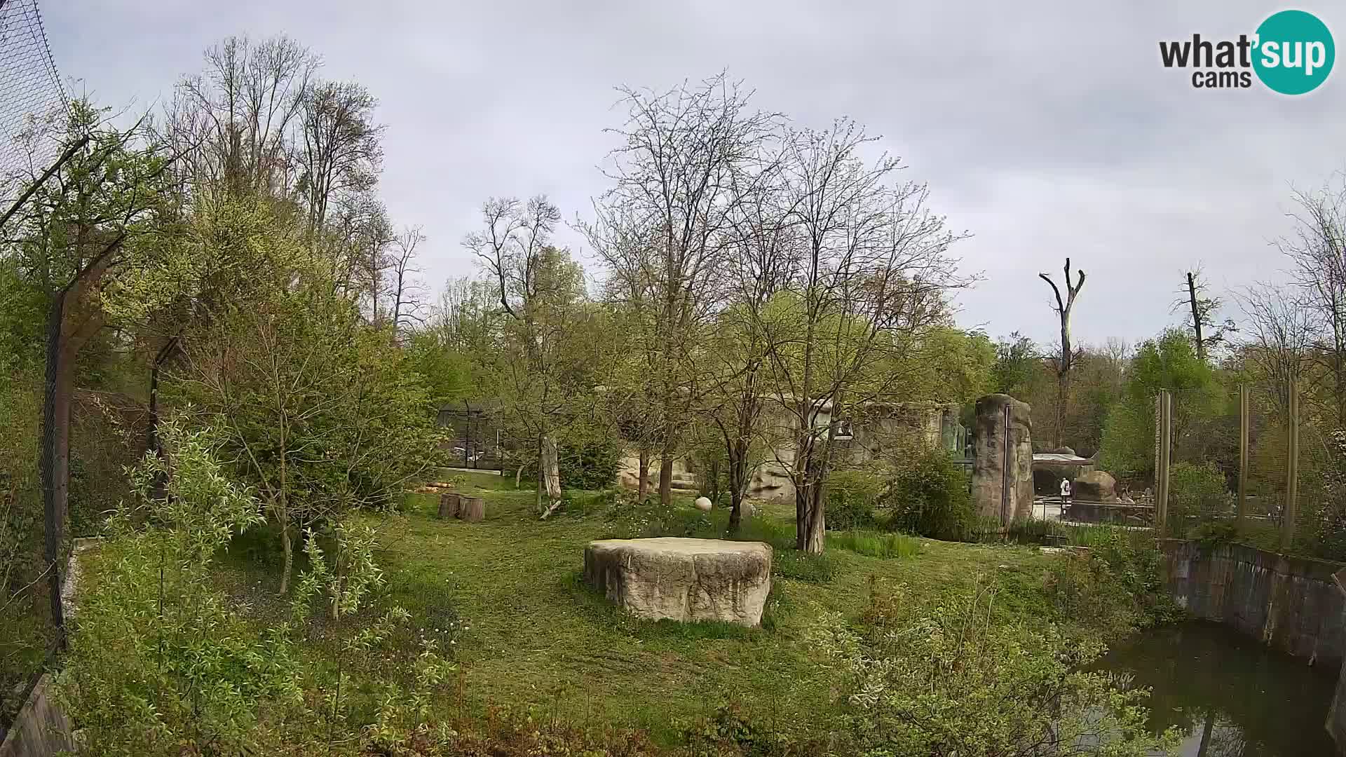 Zoo Zagreb – Löwen