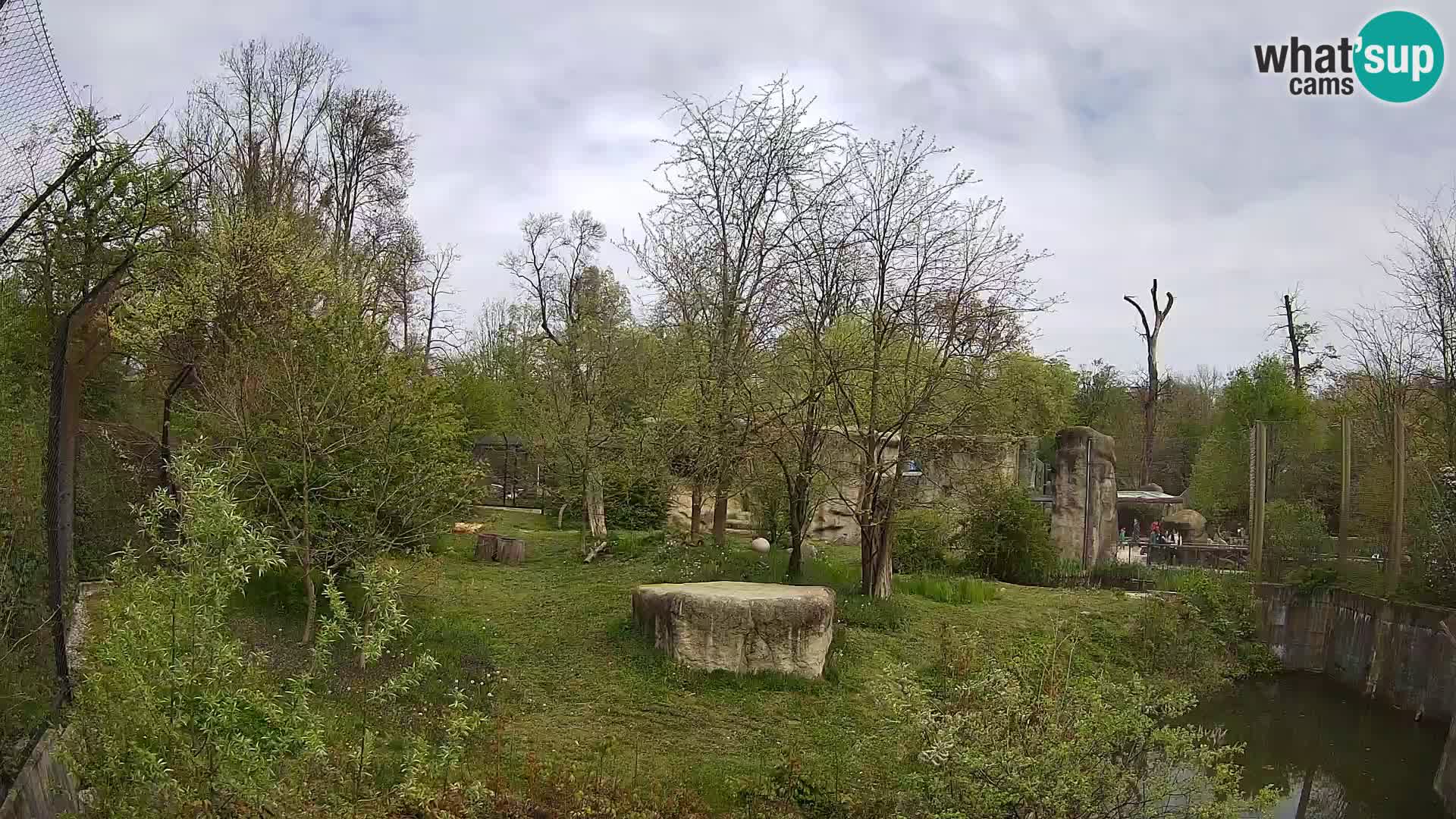 Zoo Zagreb – Löwen