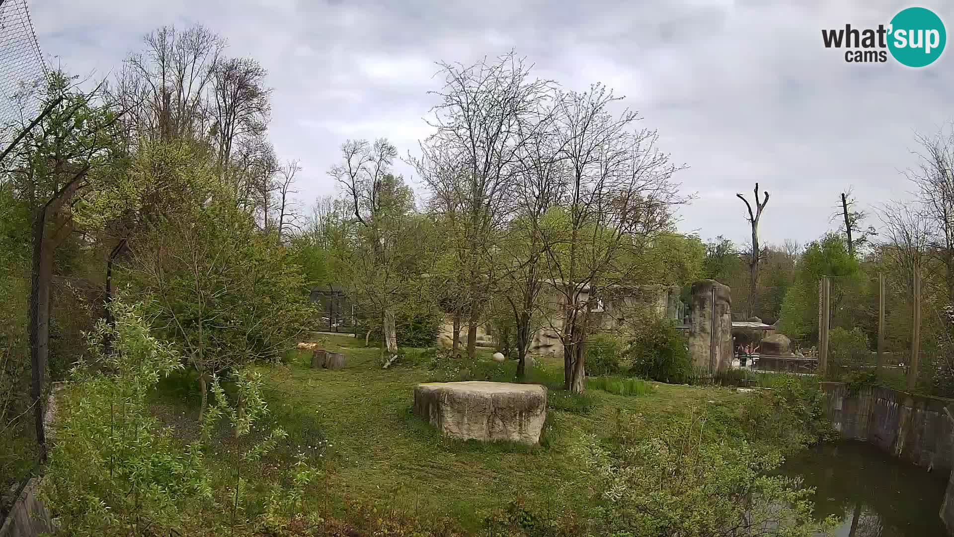 Zoo Zagreb – Leones