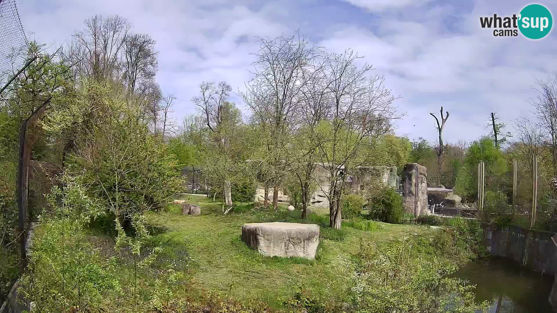 Zoo Zagreb – Leones