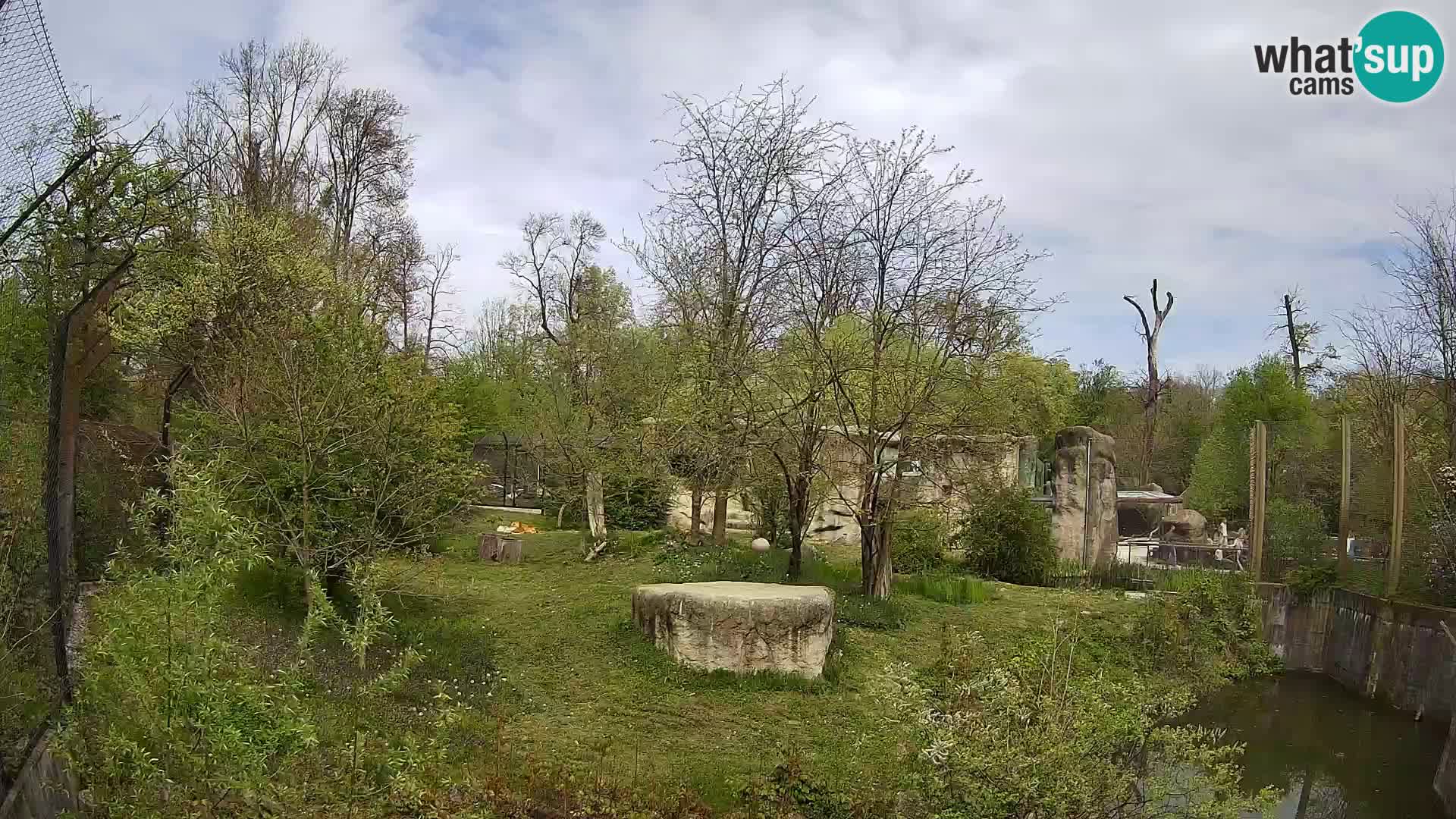 Spletna kamera Zoo Zagreb – Levi