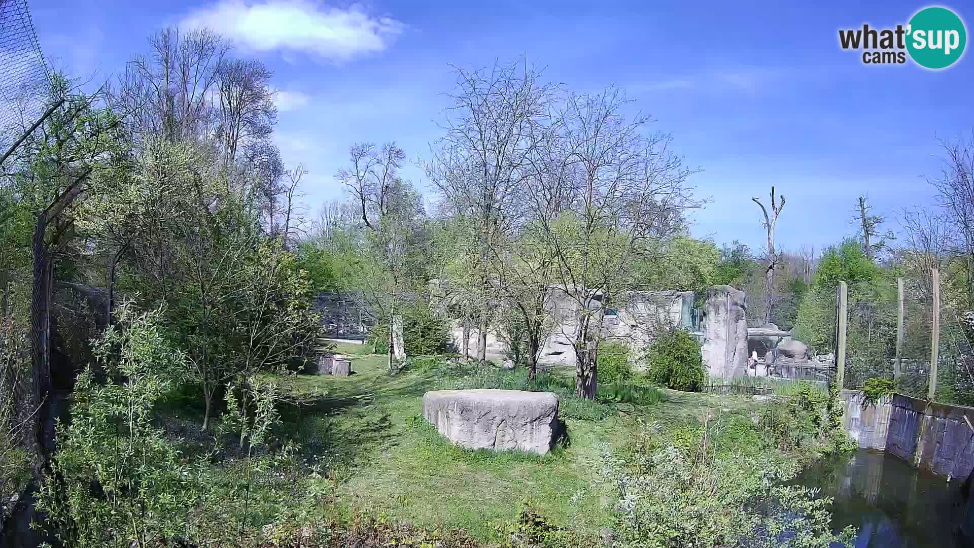 Zoo Zagreb – Leoni