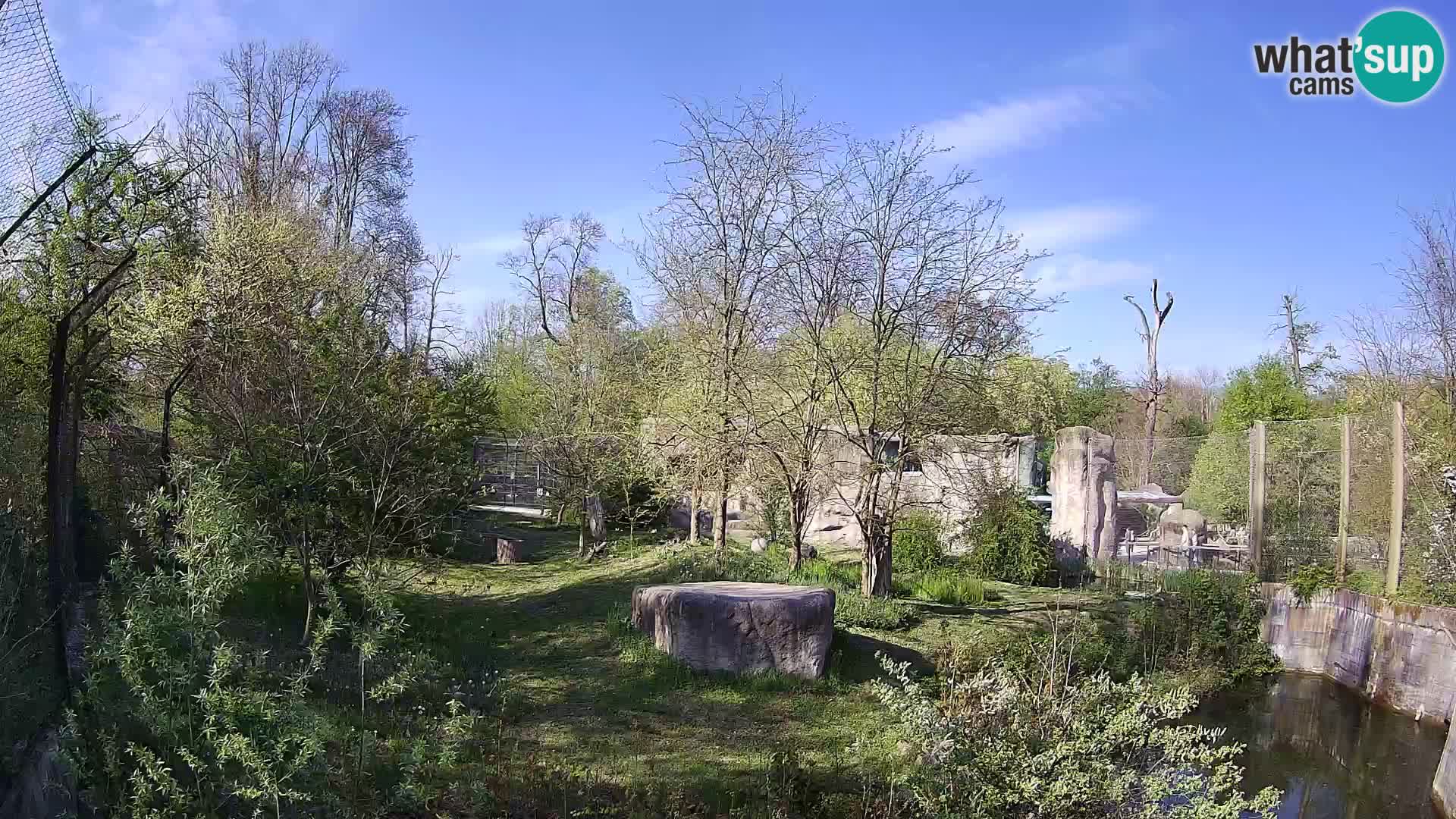 Zoo Zagreb – Leoni