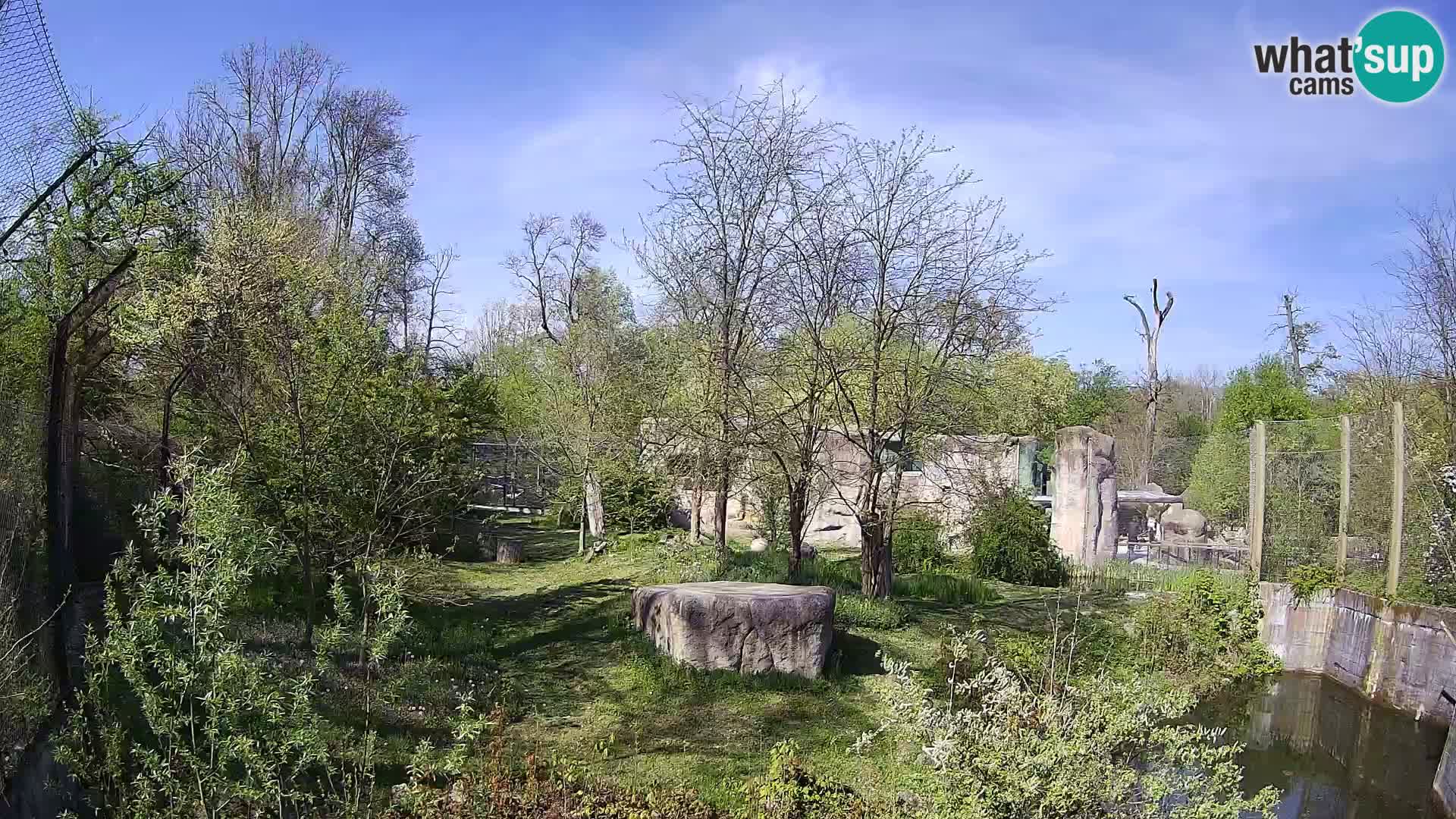 Zoo Zagreb – Löwen