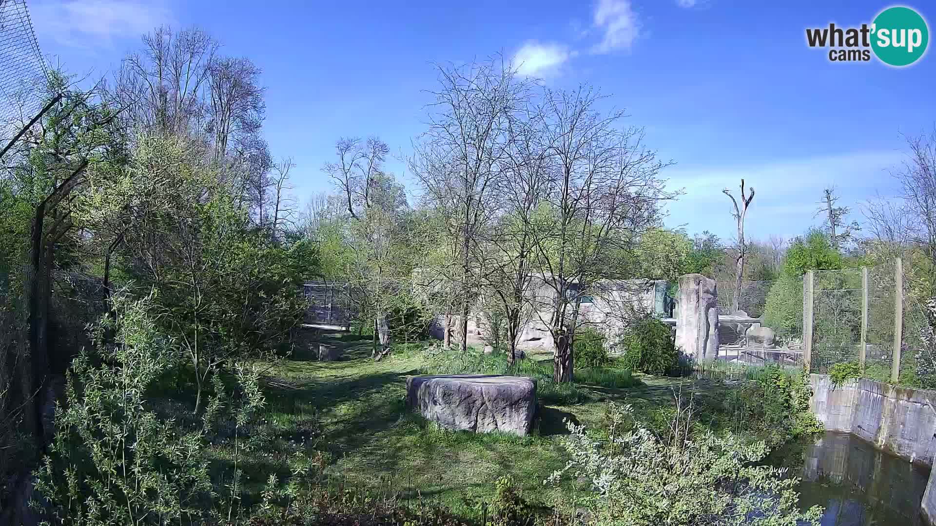 Zoo Zagreb – Leones