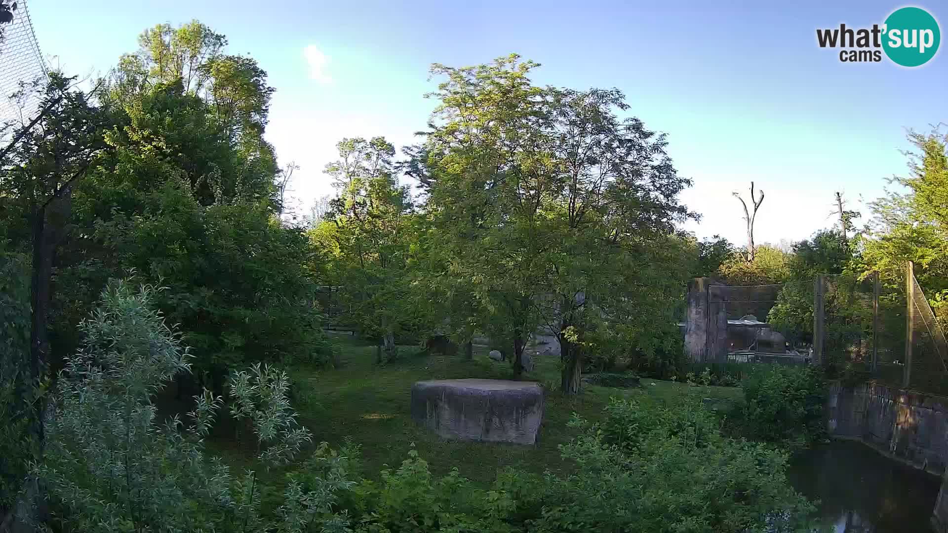 Spletna kamera Zoo Zagreb – Levi