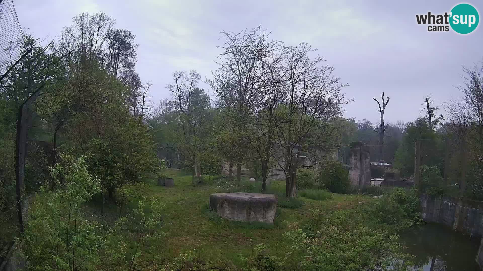 Zoo Zagreb – Leones