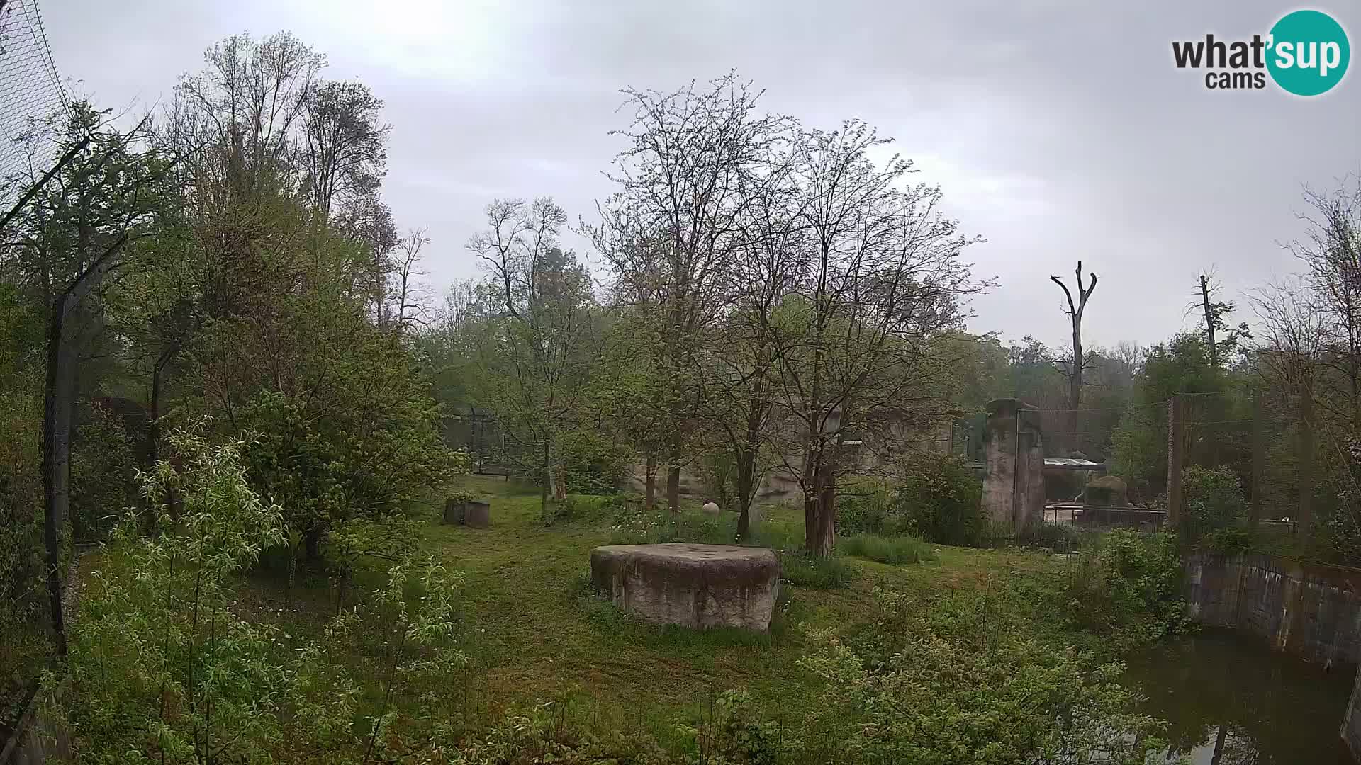 Zoo Zagreb – Leones