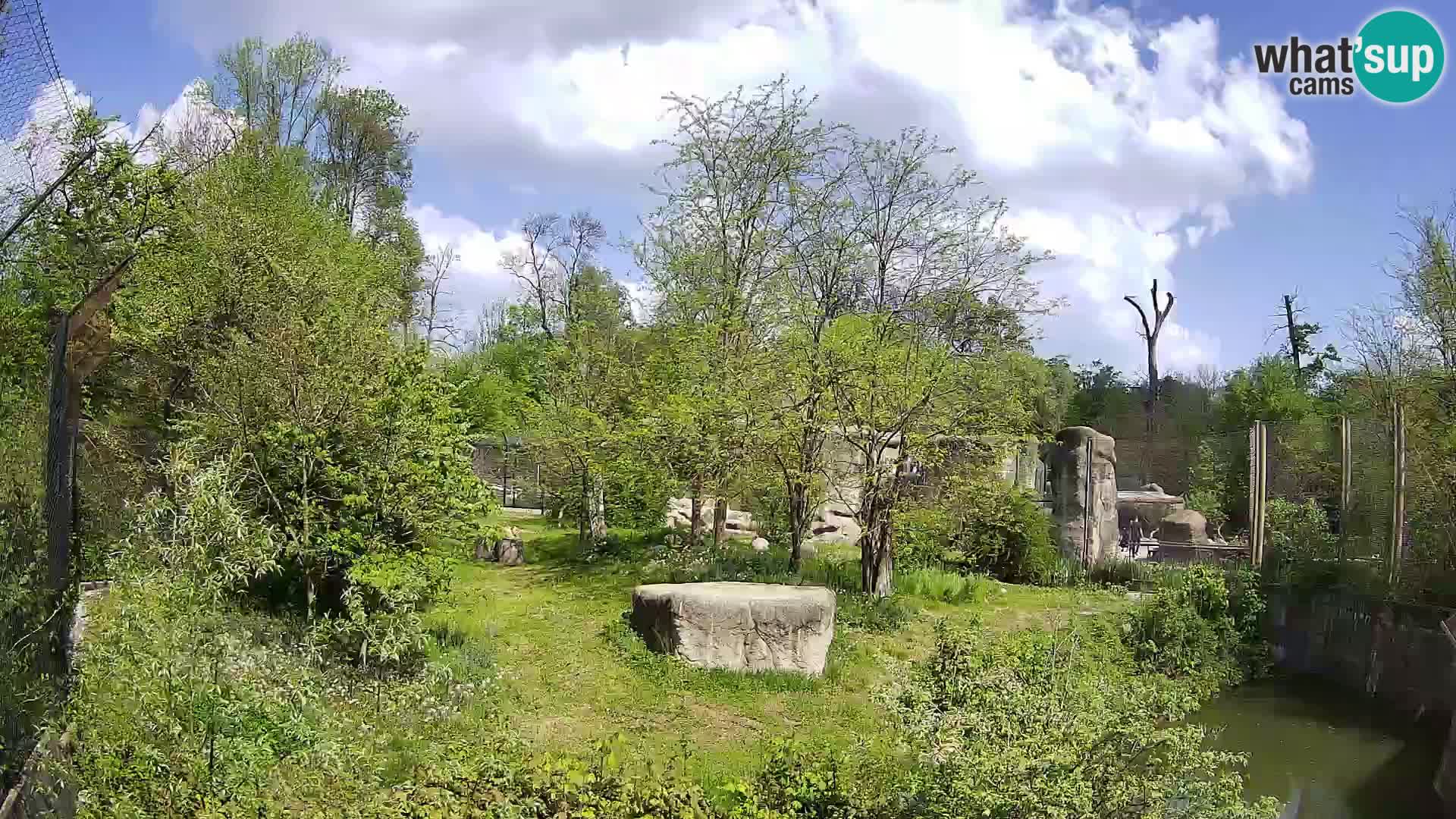 Zoo Zagreb – Löwen