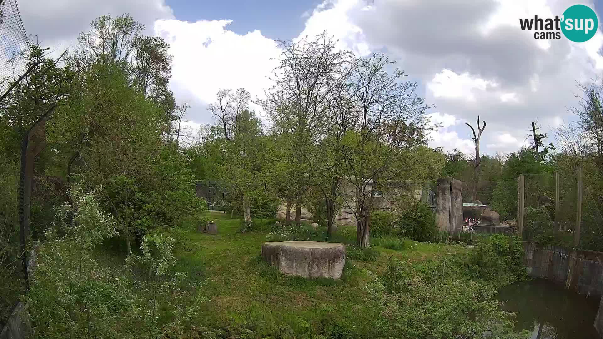 Zoo Zagreb – Löwen