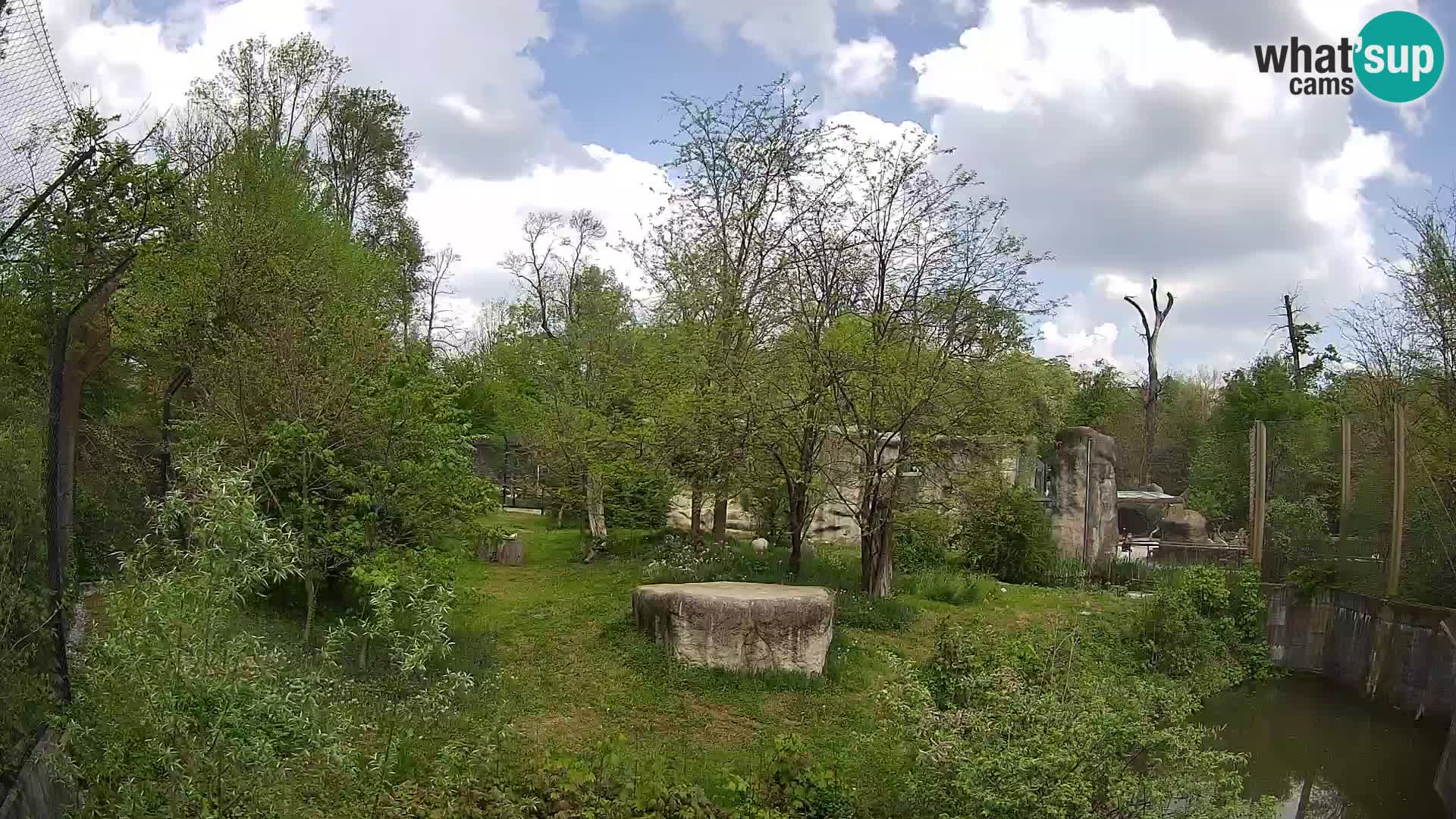 Zoo Zagreb – Leones