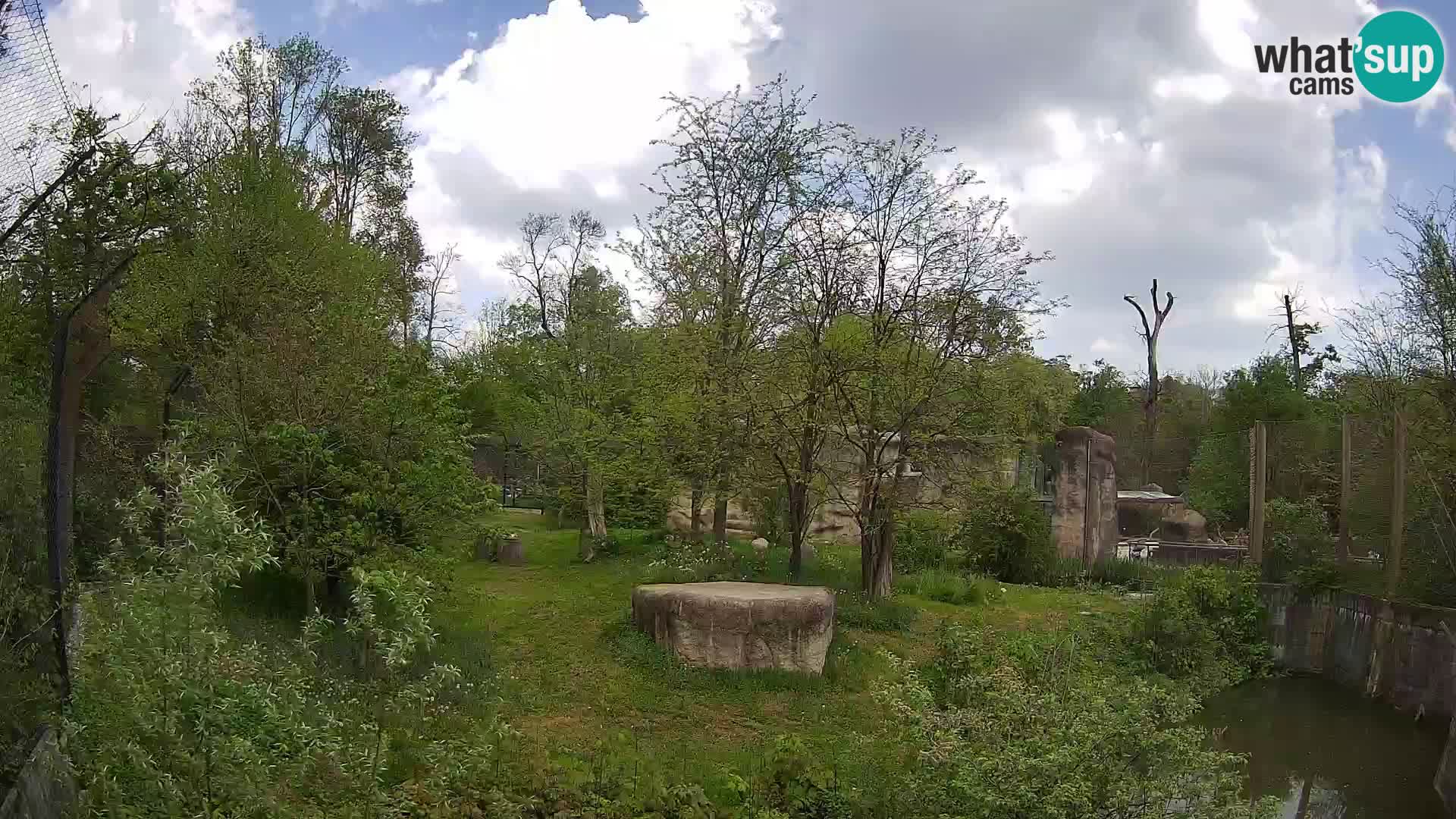 Zoo Zagreb – Leones