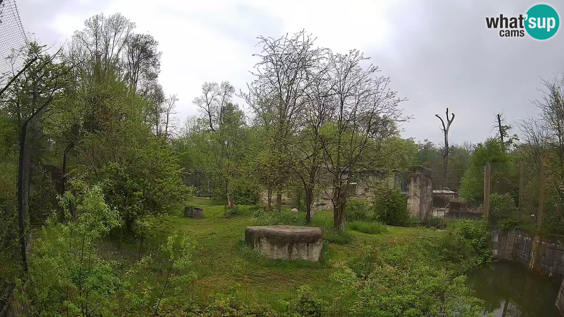 Zoo Zagreb – Leones