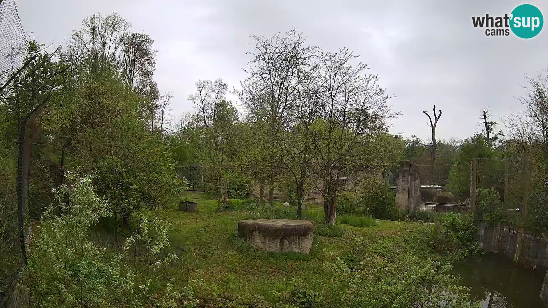 Zoo Zagreb – Leones