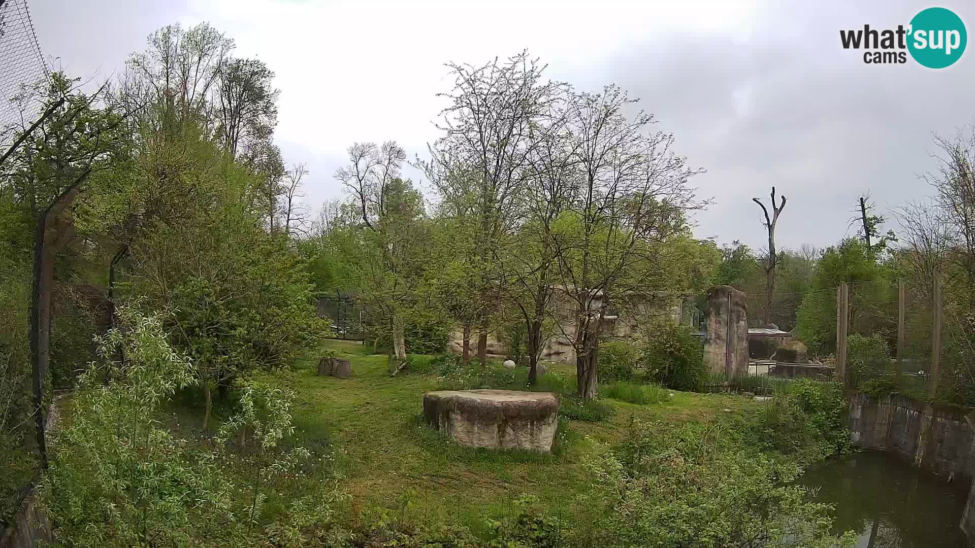 Zoo Zagreb – Leoni