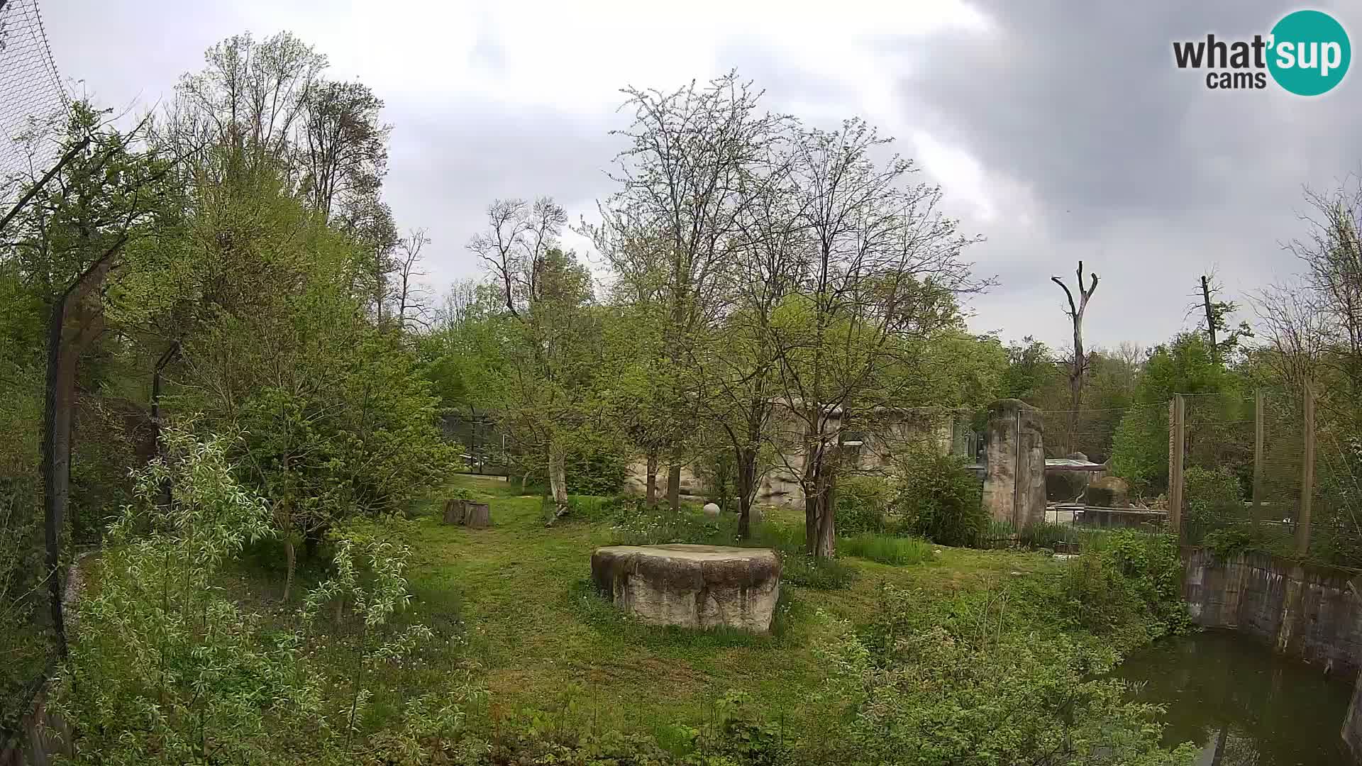 Spletna kamera Zoo Zagreb – Levi