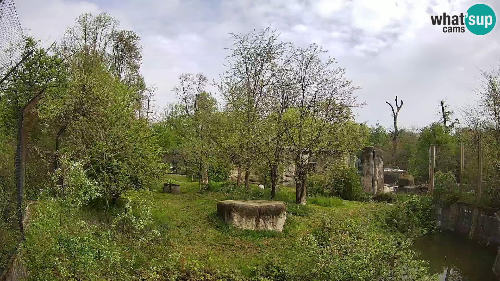 Spletna kamera Zoo Zagreb – Levi