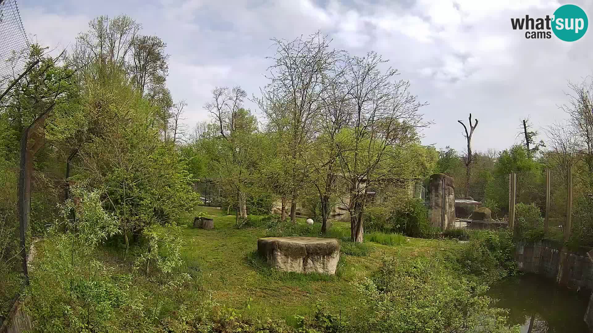 Zoo Zagreb – Leoni