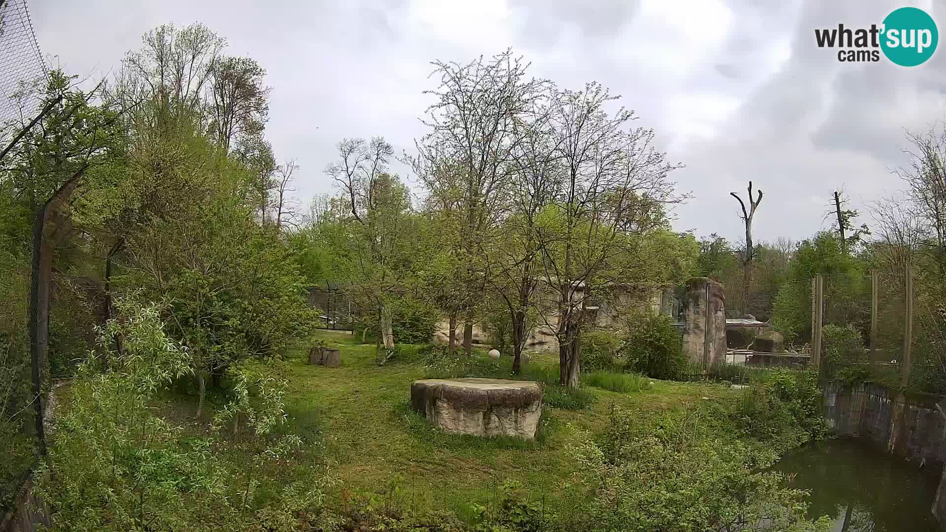 Zoo Zagreb – Leoni