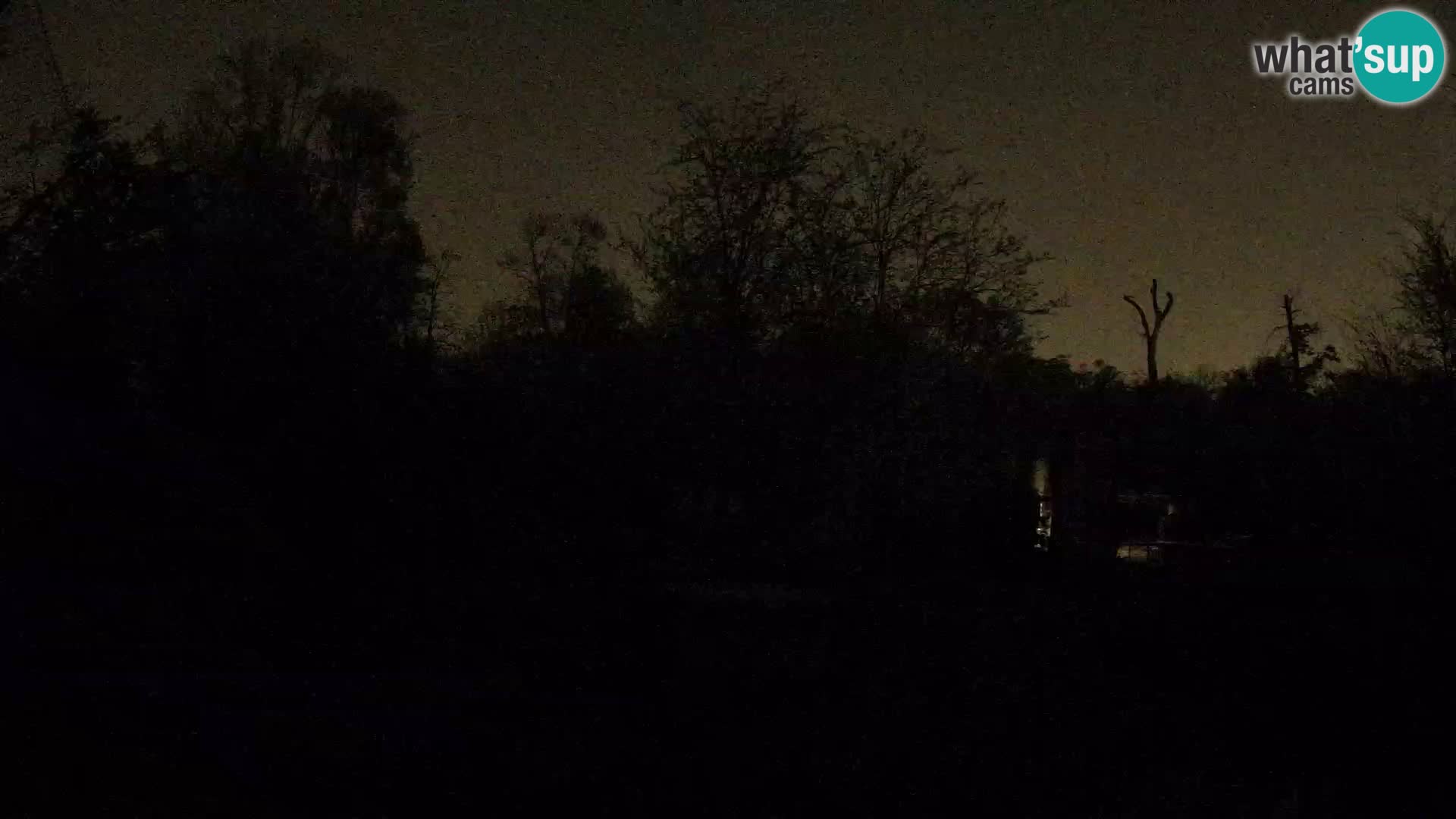 Zoo Zagreb – Lavovi