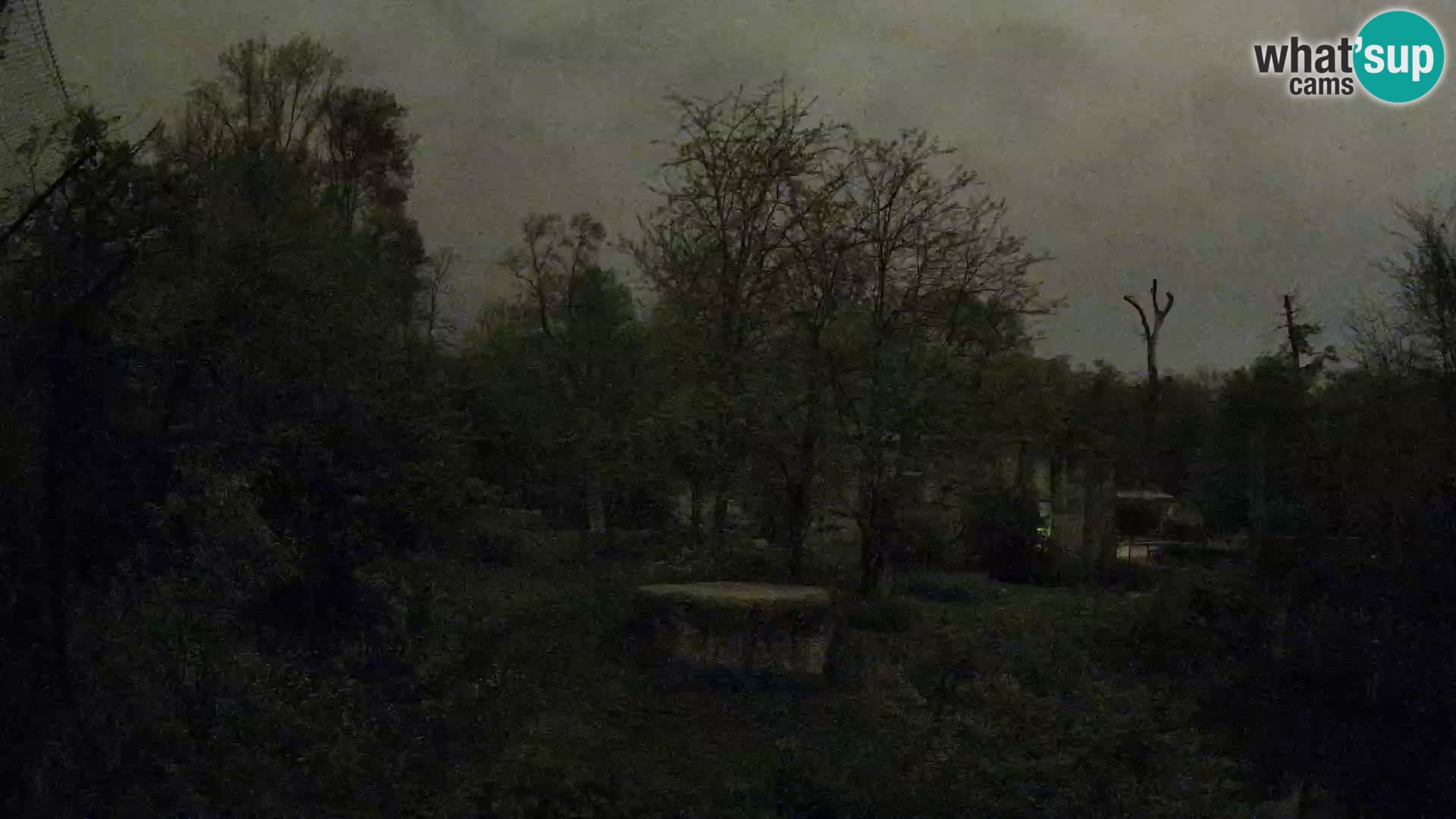 Zoo Zagreb – Löwen