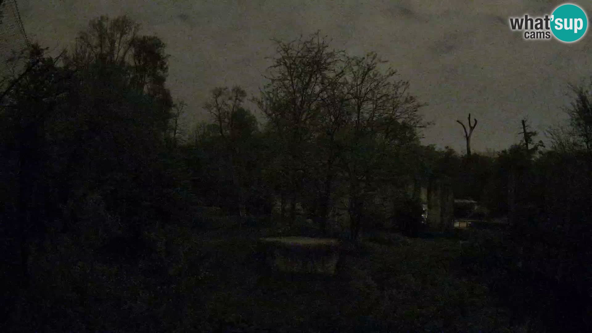 Zoo Zagreb – Leones