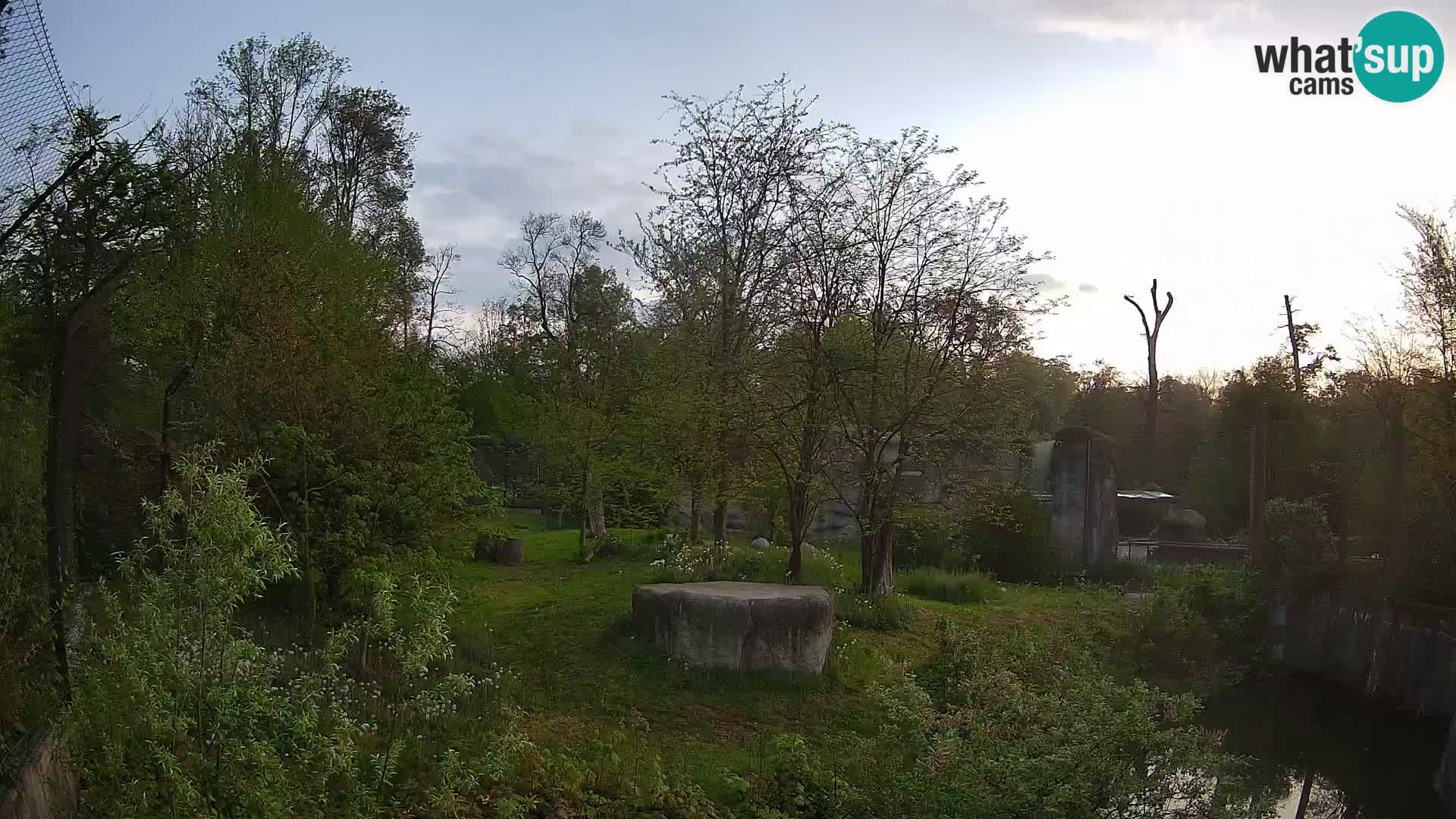 Zoo Zagreb – Lavovi