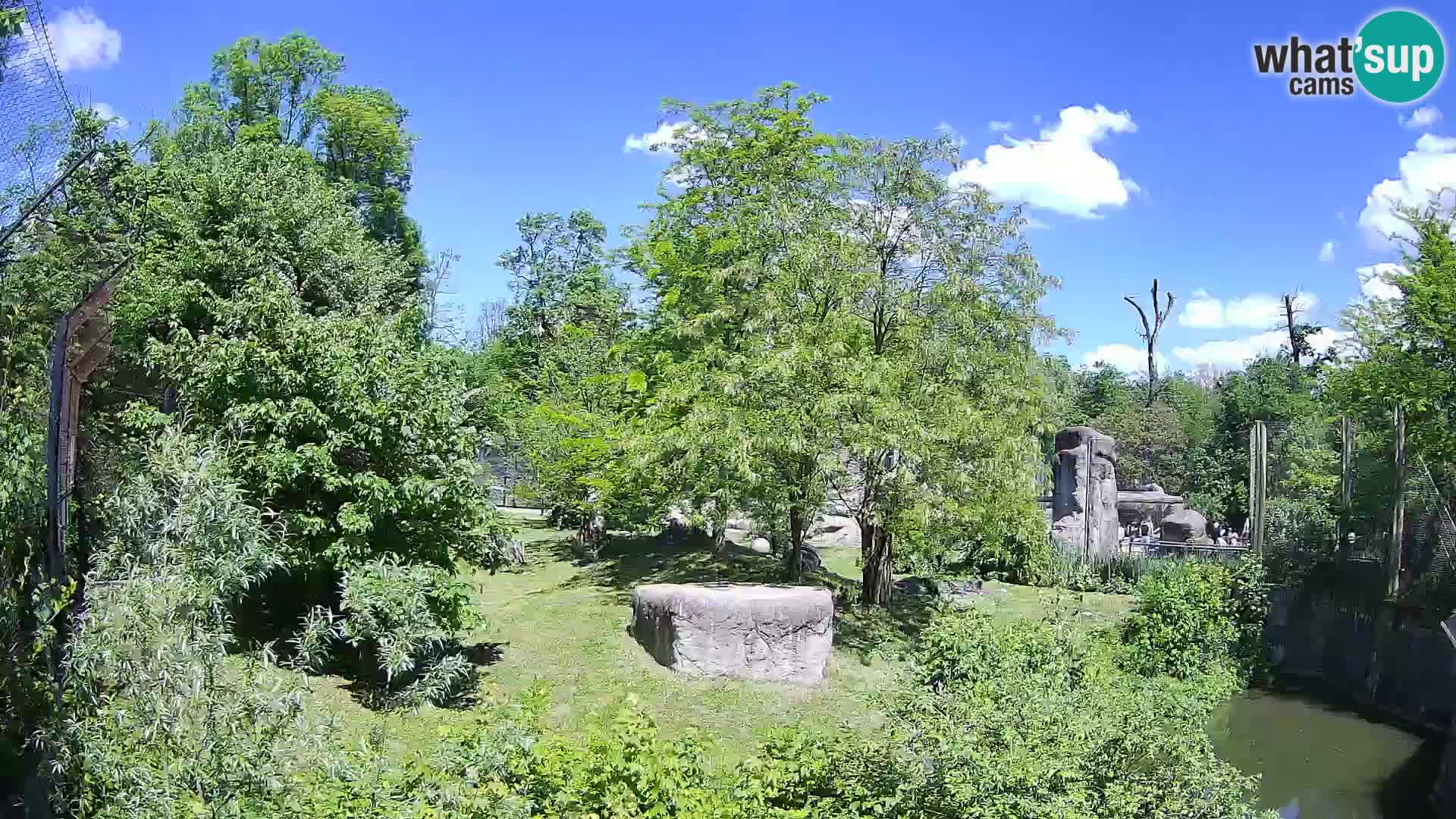 Zoo Zagreb – Löwen