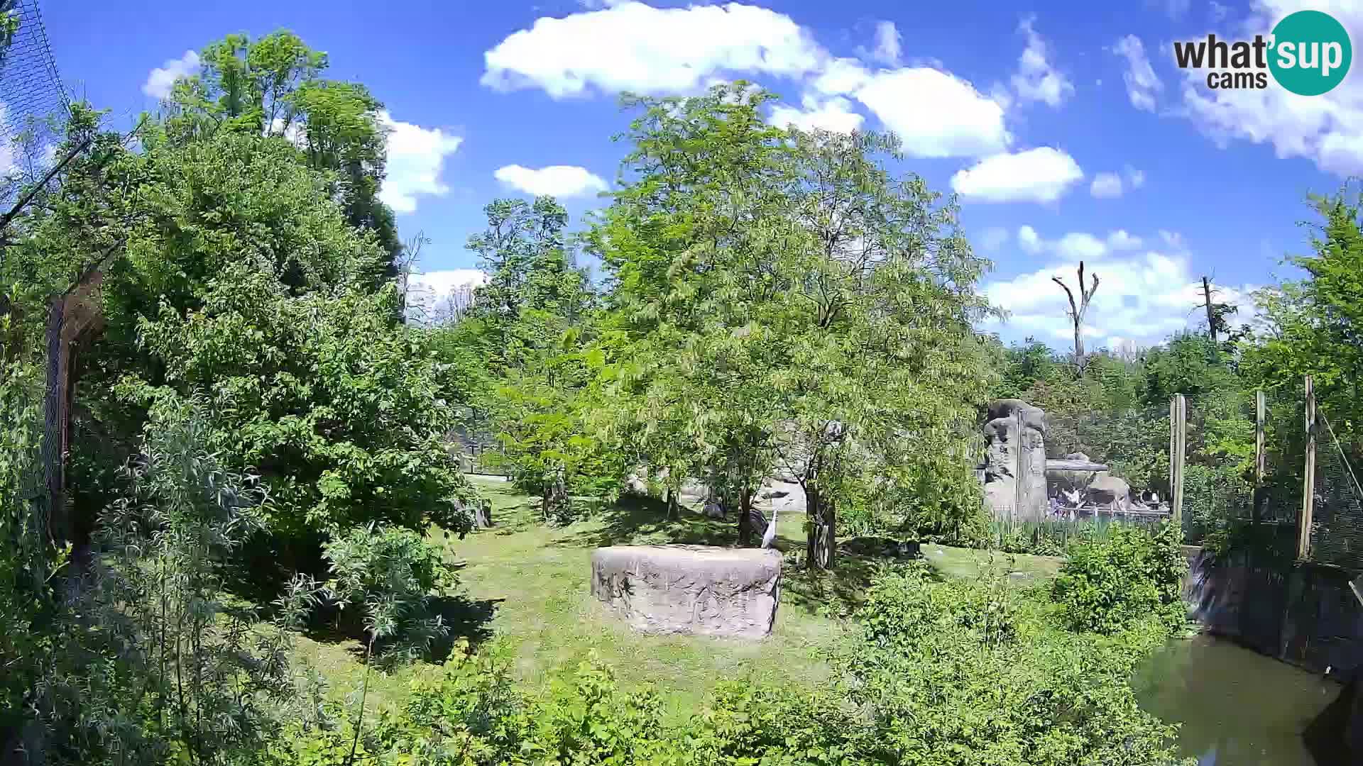 Zoo Zagreb – Leoni