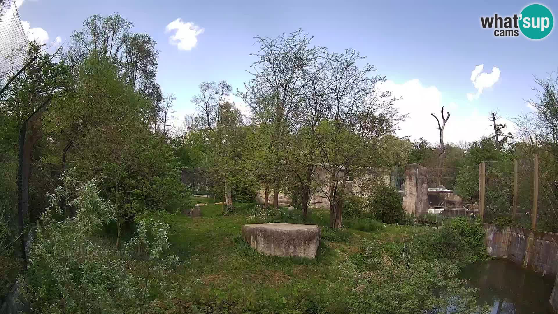 Zoo Zagreb – Löwen