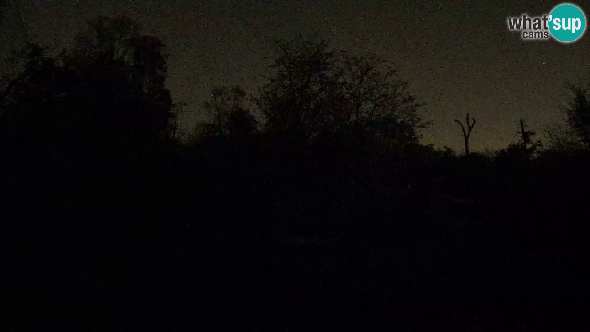 Zoo Zagreb – Leones