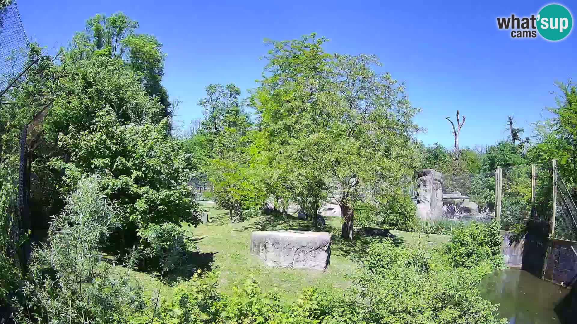 Zoo Zagreb – Löwen