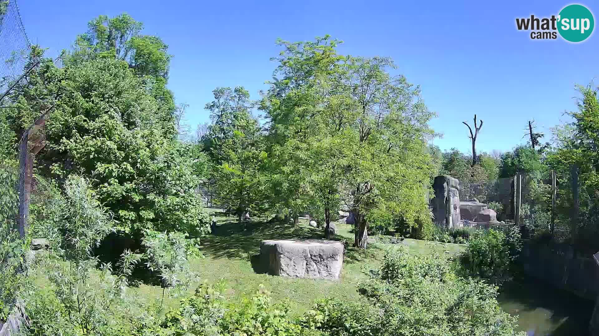 Zoo Zagreb – Leoni