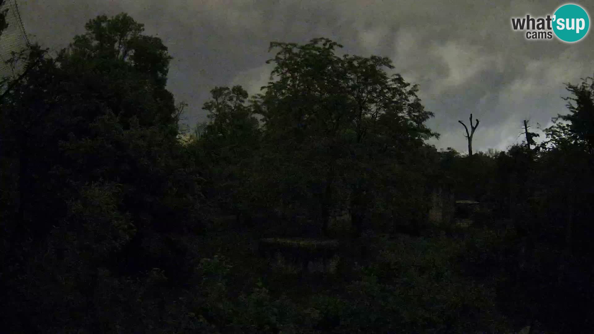 Zoo Zagreb – Löwen